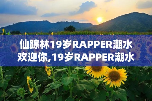 仙踪林19岁RAPPER潮水欢迎你,19岁RAPPER潮水欢迎你仙踪林的音乐之旅