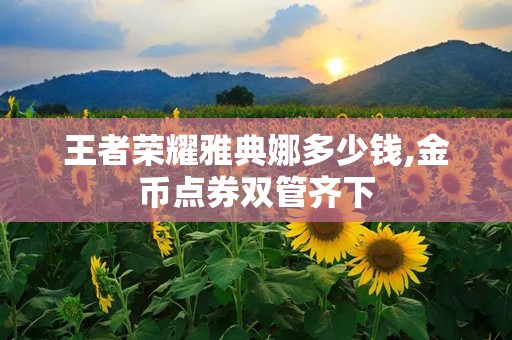 王者荣耀雅典娜多少钱,金币点券双管齐下