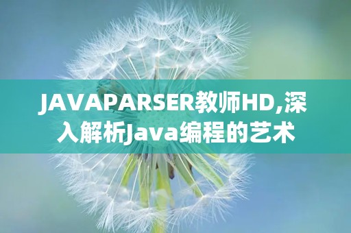 JAVAPARSER教师HD,深入解析Java编程的艺术