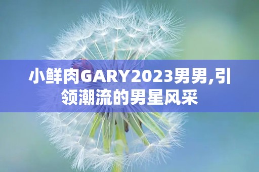 小鲜肉GARY2023男男,引领潮流的男星风采
