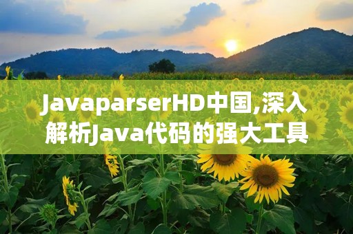 JavaparserHD中国,深入解析Java代码的强大工具