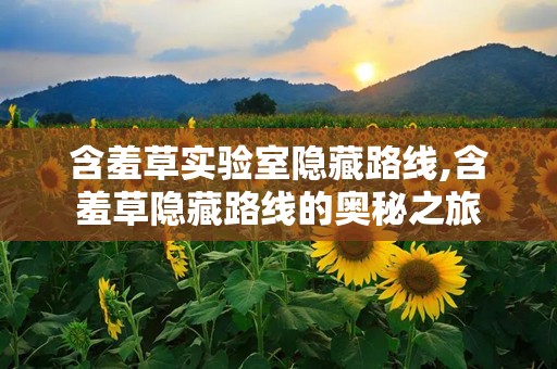含羞草实验室隐藏路线,含羞草隐藏路线的奥秘之旅