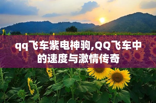 qq飞车紫电神驹,QQ飞车中的速度与激情传奇