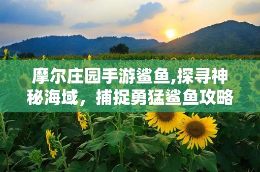 摩尔庄园手游鲨鱼,探寻神秘海域，捕捉勇猛鲨鱼攻略全解析