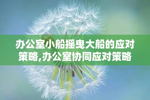 办公室小船摇曳大船的应对策略,办公室协同应对策略解析