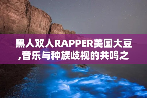 黑人双人RAPPER美国大豆,音乐与种族歧视的共鸣之声