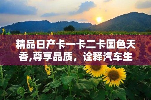 精品日产卡一卡二卡国色天香,尊享品质，诠释汽车生活新境界