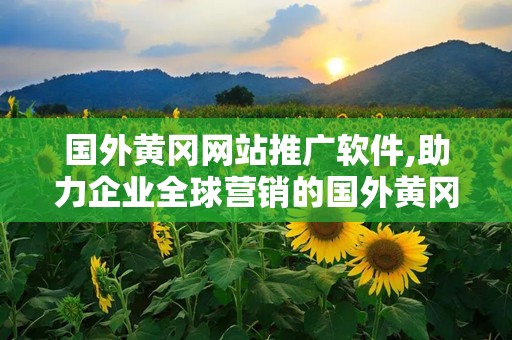 国外黄冈网站推广软件,助力企业全球营销的国外黄冈网站推广软件解析