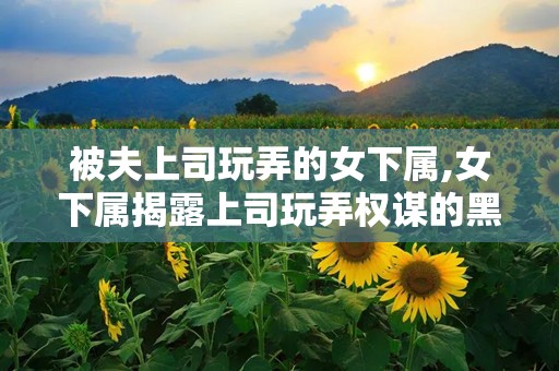 被夫上司玩弄的女下属,女下属揭露上司玩弄权谋的黑暗面