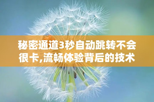 秘密通道3秒自动跳转不会很卡,流畅体验背后的技术奥秘