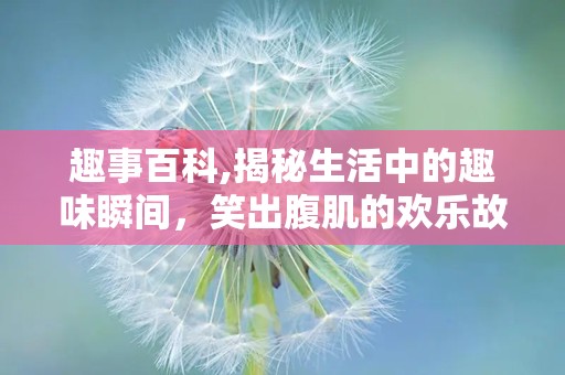 趣事百科,揭秘生活中的趣味瞬间，笑出腹肌的欢乐故事