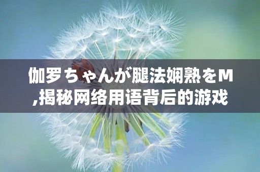 伽罗ちゃんが腿法娴熟をM,揭秘网络用语背后的游戏魅力与玩家智慧