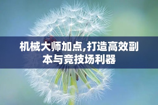 机械大师加点,打造高效副本与竞技场利器