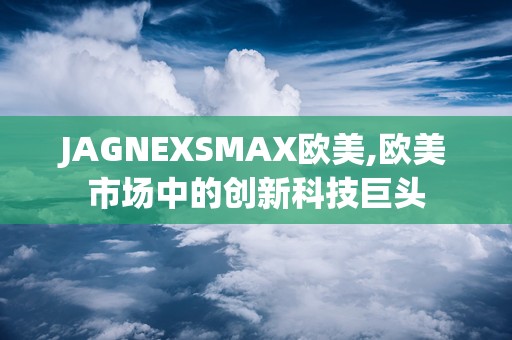 JAGNEXSMAX欧美,欧美市场中的创新科技巨头