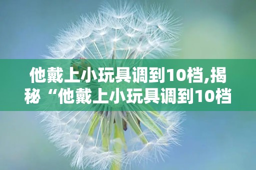 他戴上小玩具调到10档,揭秘“他戴上小玩具调到10档”的独特体验