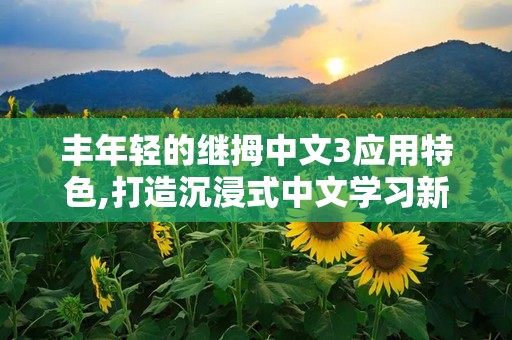 丰年轻的继拇中文3应用特色,打造沉浸式中文学习新体验