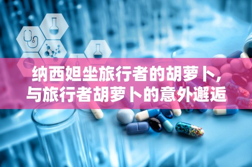 纳西妲坐旅行者的胡萝卜,与旅行者胡萝卜的意外邂逅
