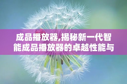 成品播放器,揭秘新一代智能成品播放器的卓越性能与未来趋势
