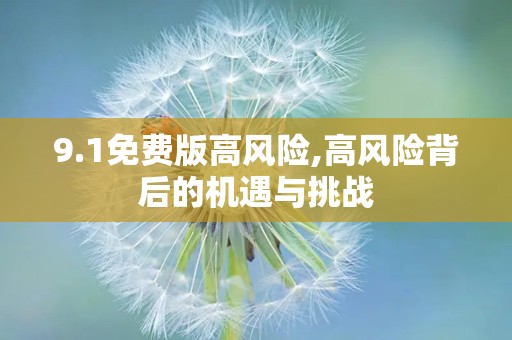 9.1免费版高风险,高风险背后的机遇与挑战