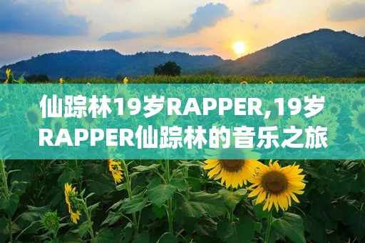 仙踪林19岁RAPPER,19岁RAPPER仙踪林的音乐之旅