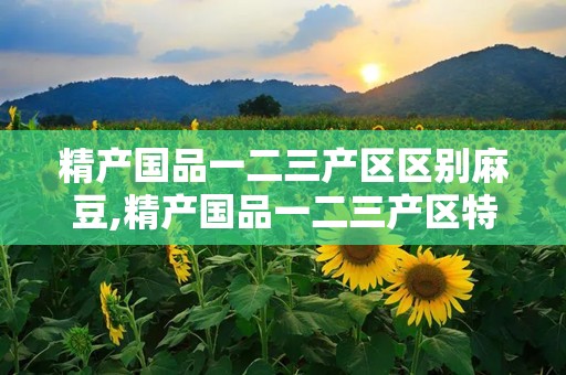 精产国品一二三产区区别麻豆,精产国品一二三产区特色解析