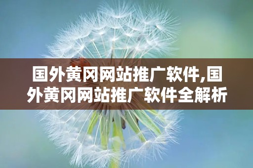 国外黄冈网站推广软件,国外黄冈网站推广软件全解析