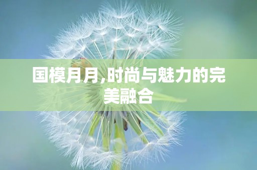 国模月月,时尚与魅力的完美融合