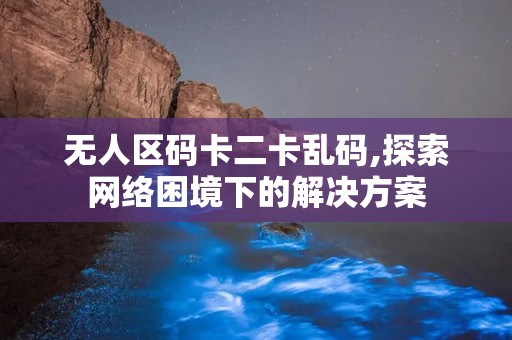 无人区码卡二卡乱码,探索网络困境下的解决方案