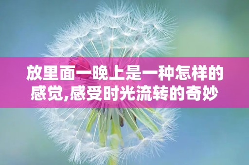 放里面一晚上是一种怎样的感觉,感受时光流转的奇妙之旅