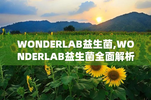 WONDERLAB益生菌,WONDERLAB益生菌全面解析与功效展示