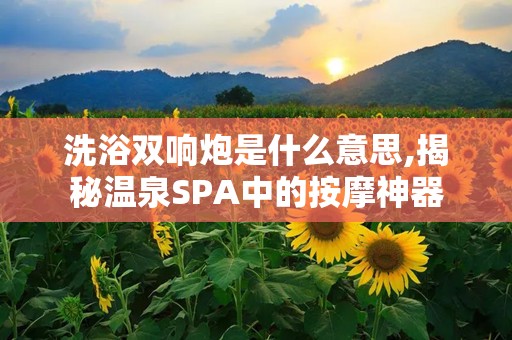 洗浴双响炮是什么意思,揭秘温泉SPA中的按摩神器