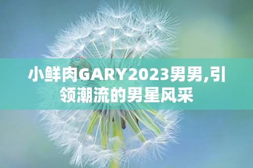 小鲜肉GARY2023男男,引领潮流的男星风采