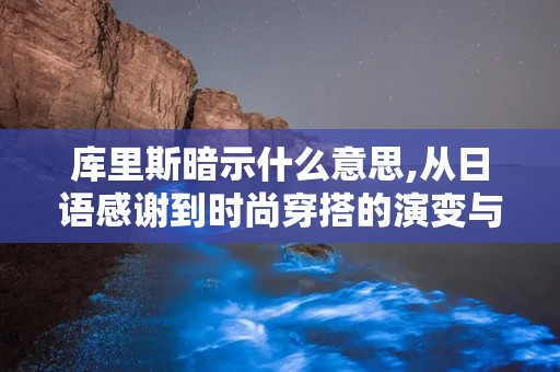 库里斯暗示什么意思,从日语感谢到时尚穿搭的演变与暗示解读