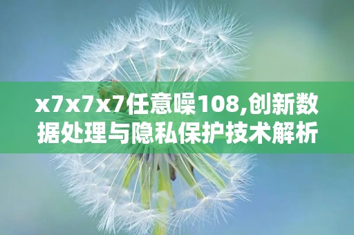 x7x7x7任意噪108,创新数据处理与隐私保护技术解析