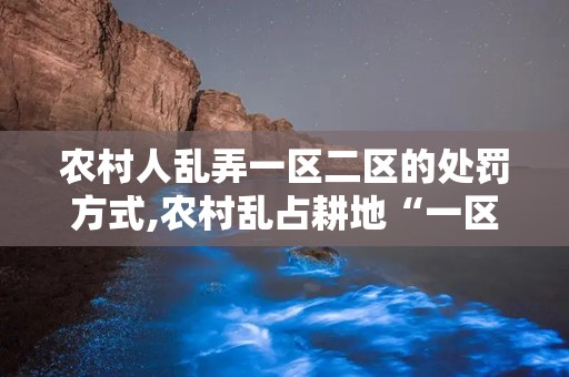 农村人乱弄一区二区的处罚方式,农村乱占耕地“一区二区”违规行为处罚措施详解