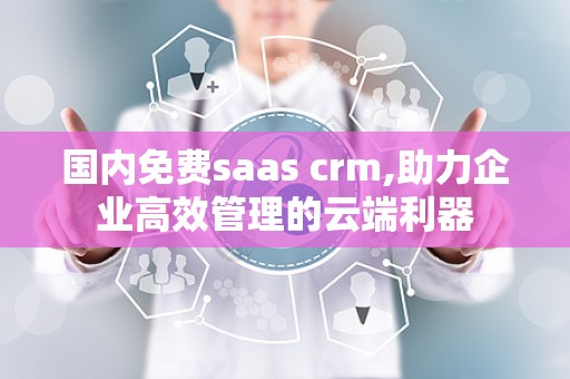 国内免费saas crm,助力企业高效管理的云端利器