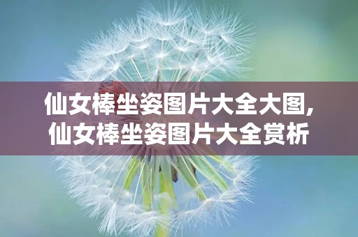 仙女棒坐姿图片大全大图,仙女棒坐姿图片大全赏析