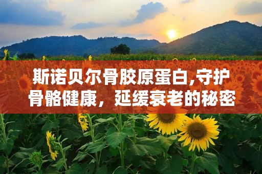 斯诺贝尔骨胶原蛋白,守护骨骼健康，延缓衰老的秘密武器