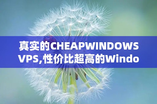 真实的CHEAPWINDOWSVPS,性价比超高的Windows虚拟主机服务评测