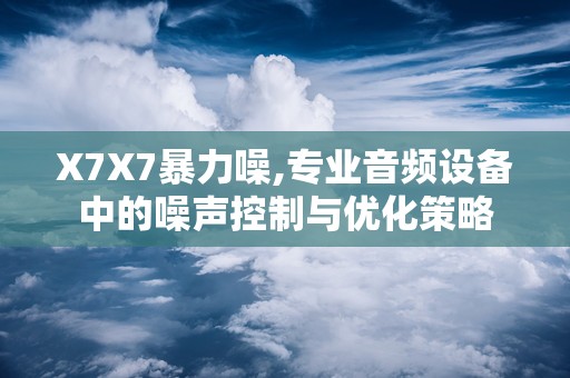 X7X7暴力噪,专业音频设备中的噪声控制与优化策略