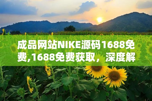 成品网站NIKE源码1688免费,1688免费获取，深度解析运动品牌网站构建之道
