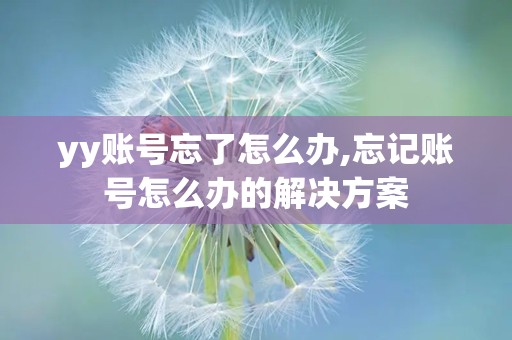yy账号忘了怎么办,忘记账号怎么办的解决方案