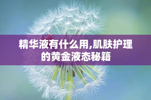 精华液有什么用,肌肤护理的黄金液态秘籍
