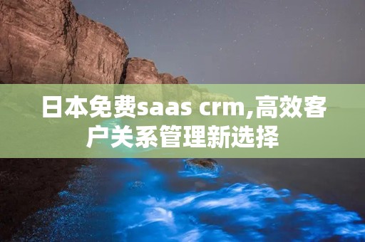 日本免费saas crm,高效客户关系管理新选择