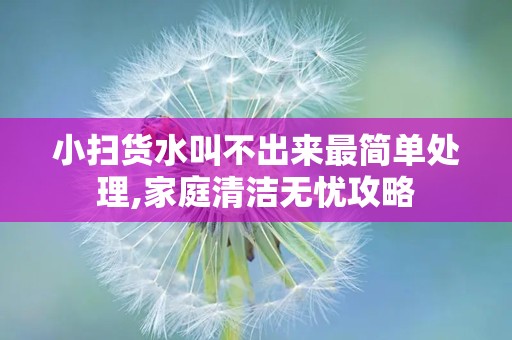 小扫货水叫不出来最简单处理,家庭清洁无忧攻略