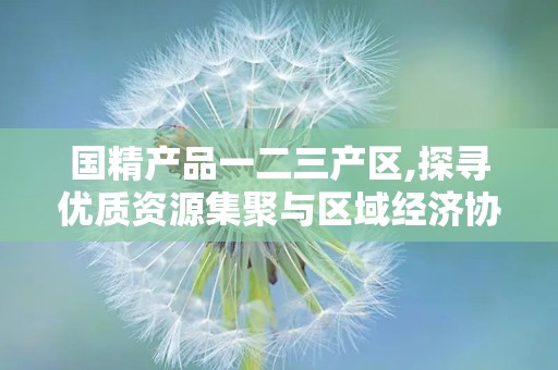 国精产品一二三产区,探寻优质资源集聚与区域经济协调发展之路