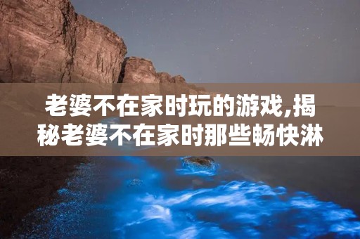老婆不在家时玩的游戏,揭秘老婆不在家时那些畅快淋漓的游戏之旅