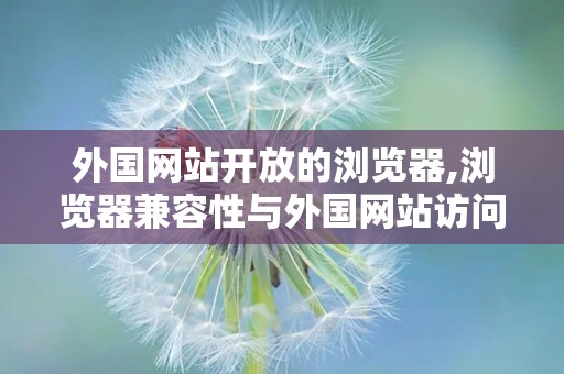 外国网站开放的浏览器,浏览器兼容性与外国网站访问概述