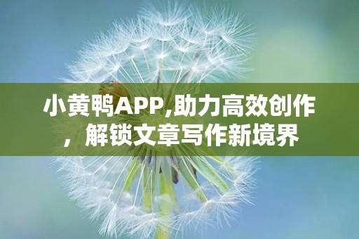 小黄鸭APP,助力高效创作，解锁文章写作新境界