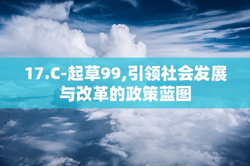 17.C-起草99,引领社会发展与改革的政策蓝图